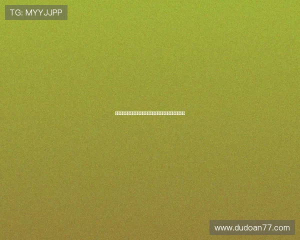 龙虎娱乐：世界杯期间最受关注的明星球员表现与精彩瞬间回顾